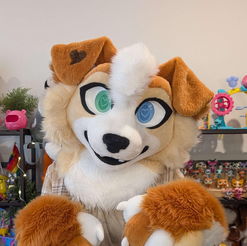 Juanella The Rough Collie